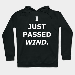 I JUST PASSED WIND Hoodie